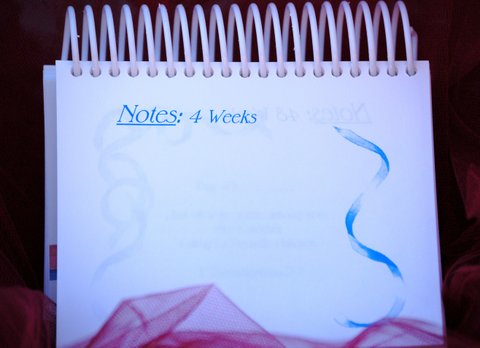 The Bible Tells Me So - Note pages every 4 weeks - devotional calendar parents of newborns